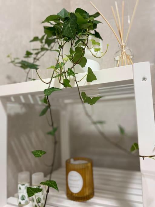 Casa Mina Cadiz Apartment Екстериор снимка