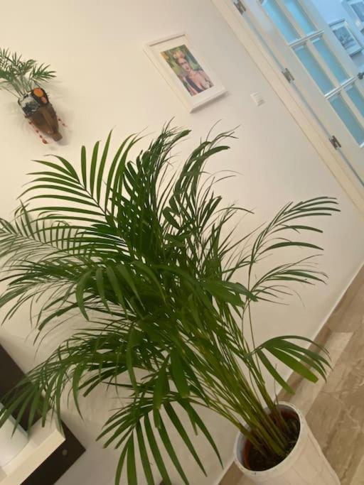 Casa Mina Cadiz Apartment Екстериор снимка