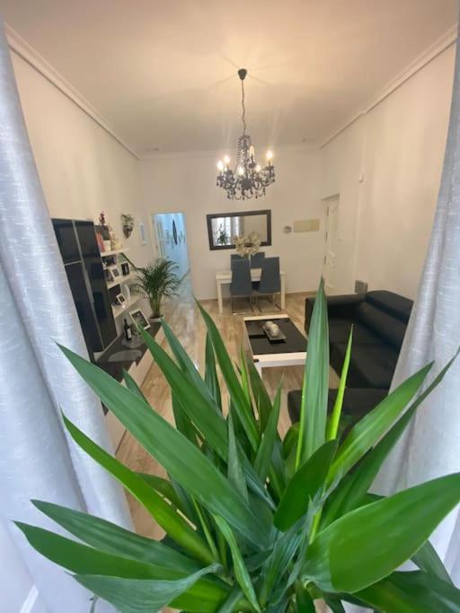 Casa Mina Cadiz Apartment Екстериор снимка